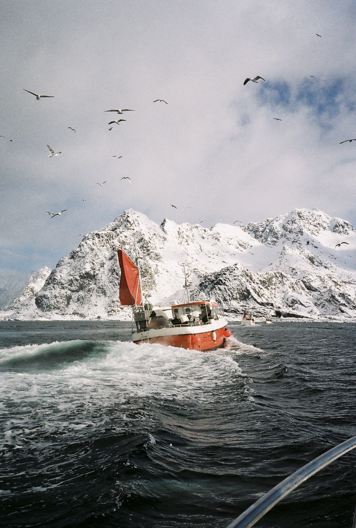 Fishing in Lofoten